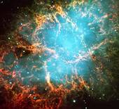 Der Krebsnebel (Credit: ESO)